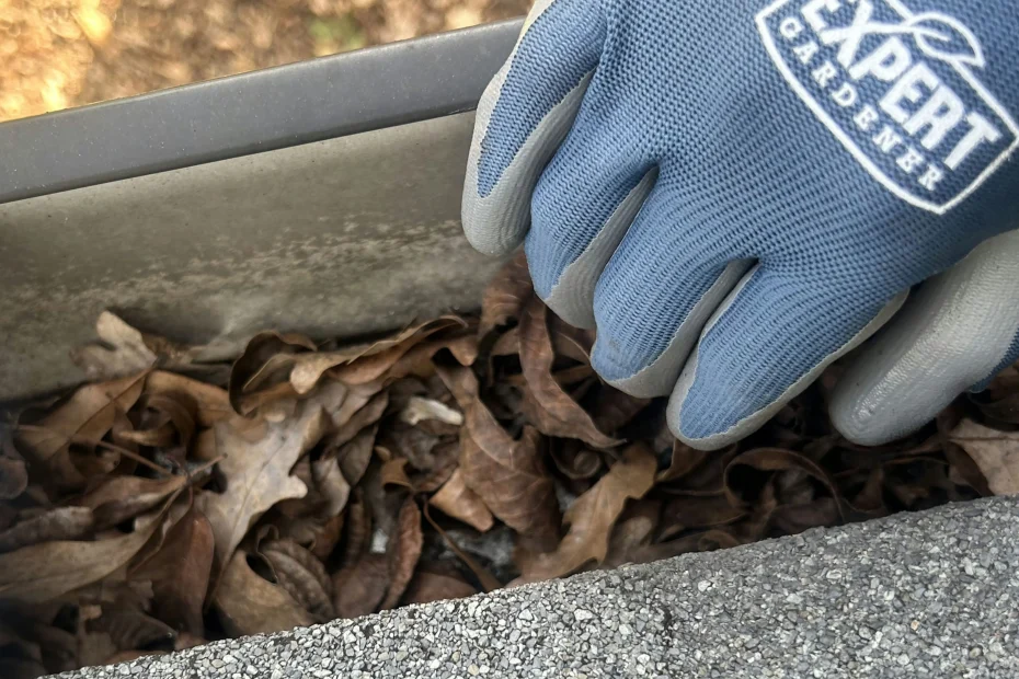 Gutter Cleaning Suffolk VA