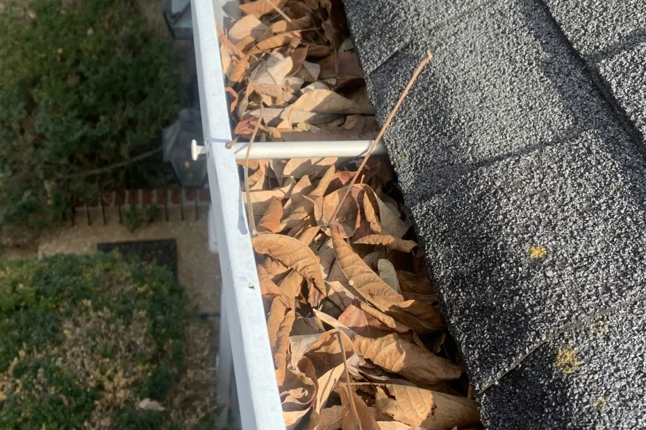 Gutter Cleaning Suffolk VA