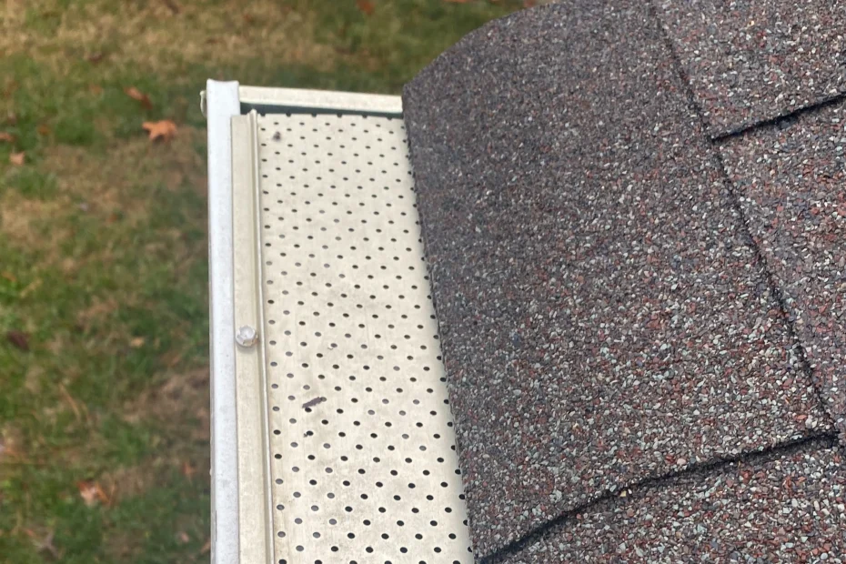 Gutter Cleaning Suffolk VA